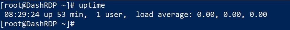 root uptime